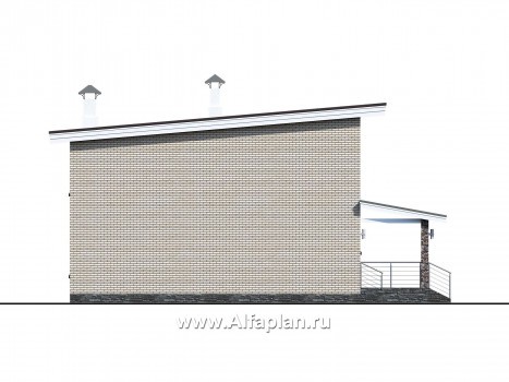 «Эрго» - проек дома 10х10м, планировка с террасой со стороны входа, с односкатной кровлей - превью фасада дома