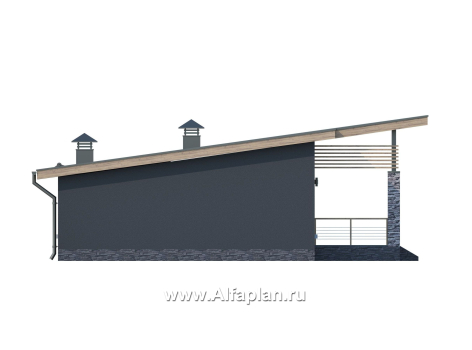 Проекты домов Альфаплан - «Корица» - проект дома с односкатной крышей, с двумя спальнями - превью фасада №3