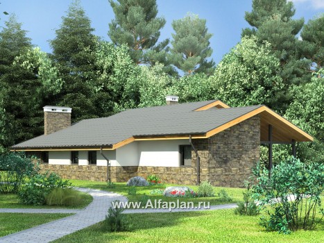 Проекты домов Альфаплан - Одноэтажный загородный дом с навесом для машины - превью дополнительного изображения №1